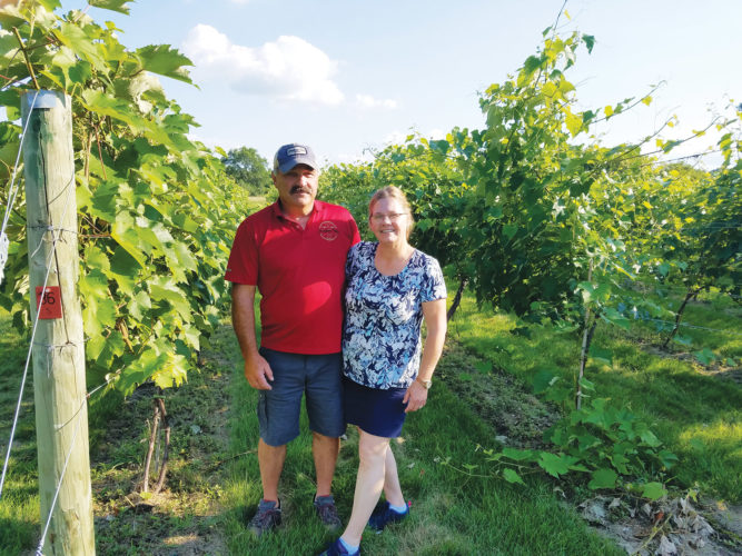 A gamble to start Grandview Valley Winery in Belview is paying off for